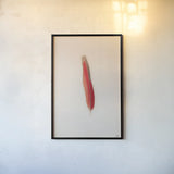 Floating Feathers II by Nathan Larson. shown as a paper print in a black flame. Available as a archival giclee rolled canvas, fine art paper, or poster print. SKU 71169h.