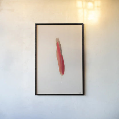 Floating Feathers II by Nathan Larson. shown as a paper print in a black flame. Available as a archival giclee rolled canvas, fine art paper, or poster print. SKU 71169h.