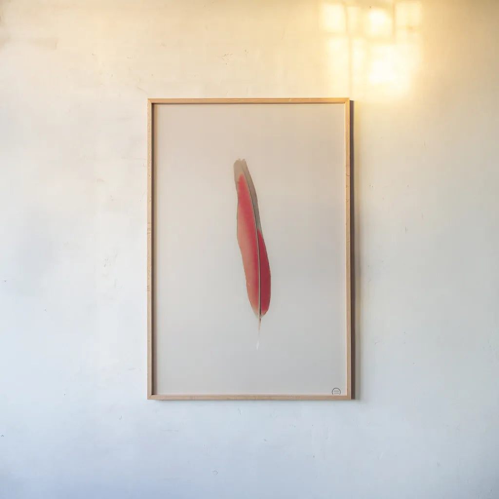 Floating Feathers II by Nathan Larson. shown as a paper print in a natural frame. Available as a archival giclee rolled canvas, fine art paper, or poster print. SKU 71169h.