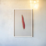 Floating Feathers II by Nathan Larson. shown as a paper print in a white frame. Available as a archival giclee rolled canvas, fine art paper, or poster print. SKU 71169h.