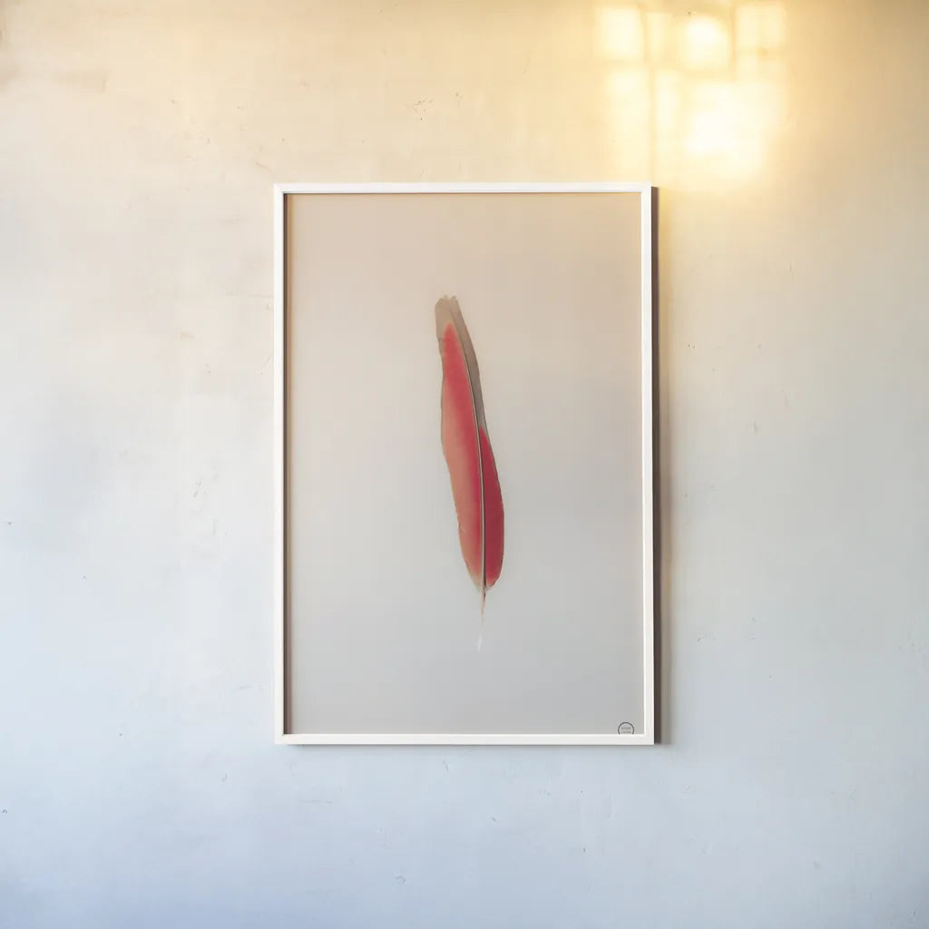 Floating Feathers II by Nathan Larson. shown as a paper print in a white frame. Available as a archival giclee rolled canvas, fine art paper, or poster print. SKU 71169h.