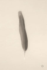 Floating Feathers II Sepia by Nathan Larson. SKU 74147h. Archival Giclee Fine art print for wall decor.