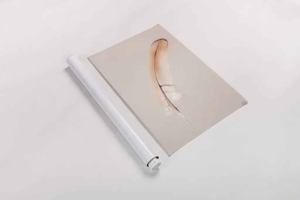 Floating Feathers III by Nathan Larson. shown as a rolled paper print. Available as archival giclee rolled canvas, fine art paper, or poster print. SKU 71170h.