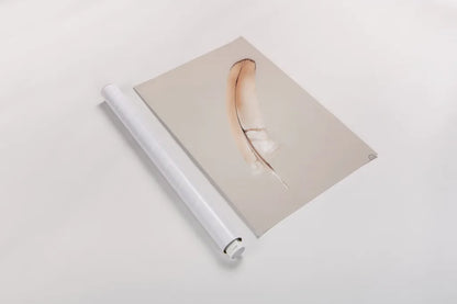 Floating Feathers III by Nathan Larson. shown as a rolled paper print. Available as archival giclee rolled canvas, fine art paper, or poster print. SKU 71170h.