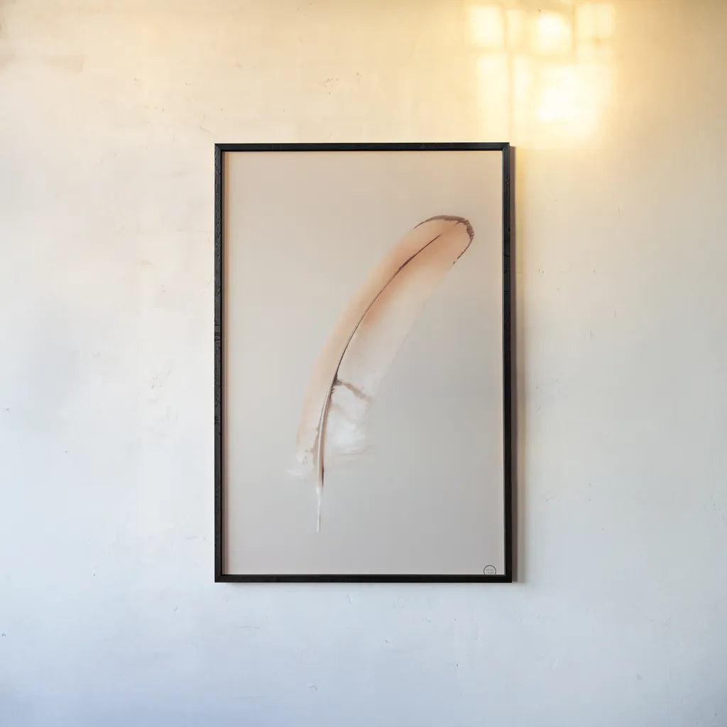 Floating Feathers III by Nathan Larson. shown as a paper print in a black flame. Available as a archival giclee rolled canvas, fine art paper, or poster print. SKU 71170h.