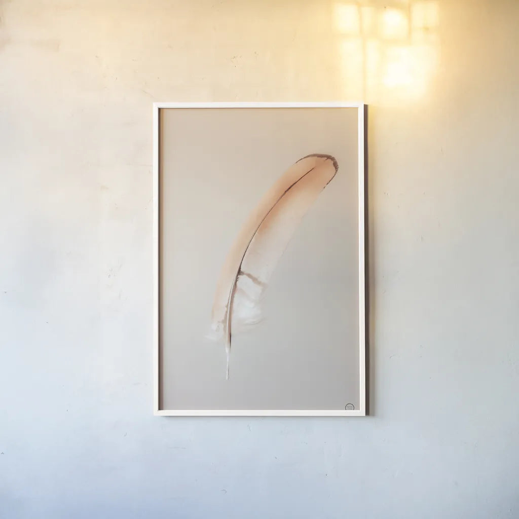 Floating Feathers III by Nathan Larson. shown as a paper print in a white frame. Available as a archival giclee rolled canvas, fine art paper, or poster print. SKU 71170h.