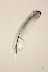 Floating Feathers III Sepia by Nathan Larson. SKU 74148h. Archival Giclee Fine art print for wall decor.