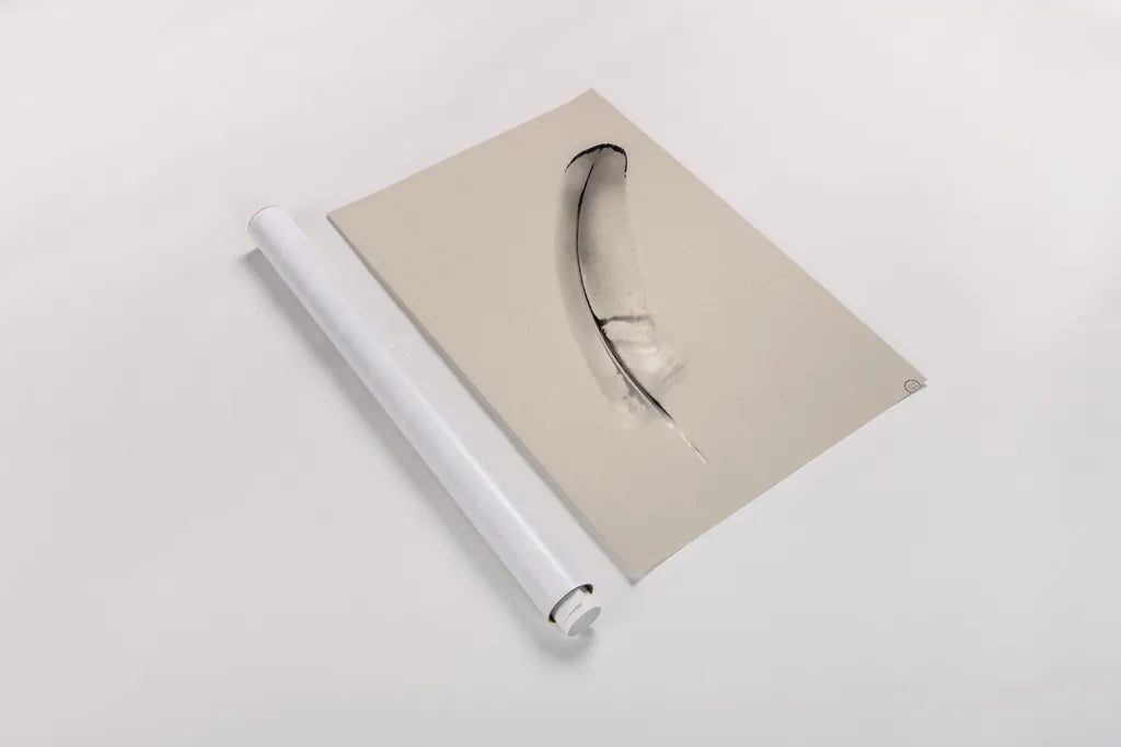 Floating Feathers III Sepia by Nathan Larson. shown as a rolled paper print. Available as archival giclee rolled canvas, fine art paper, or poster print. SKU 74148h.