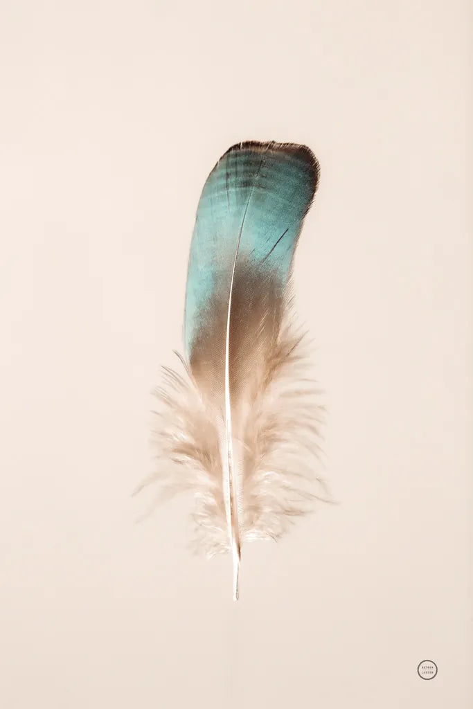 Floating Feathers IV by Nathan Larson. SKU 71171h. Archival Giclee Fine art print for wall decor.