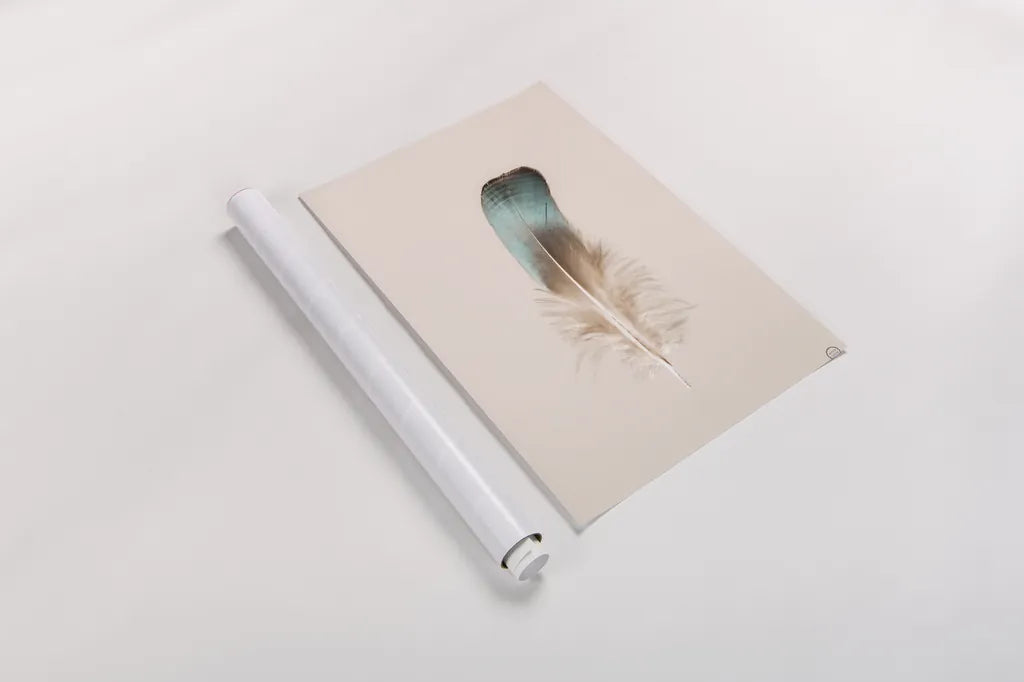 Floating Feathers IV by Nathan Larson. shown as a rolled paper print. Available as archival giclee rolled canvas, fine art paper, or poster print. SKU 71171h.