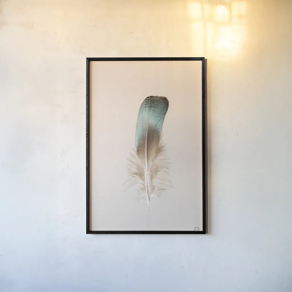 Floating Feathers IV by Nathan Larson. shown as a paper print in a black flame. Available as a archival giclee rolled canvas, fine art paper, or poster print. SKU 71171h.