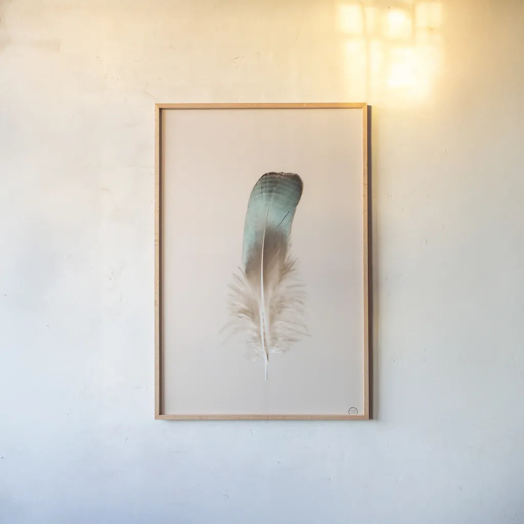 Floating Feathers IV by Nathan Larson. shown as a paper print in a natural frame. Available as a archival giclee rolled canvas, fine art paper, or poster print. SKU 71171h.