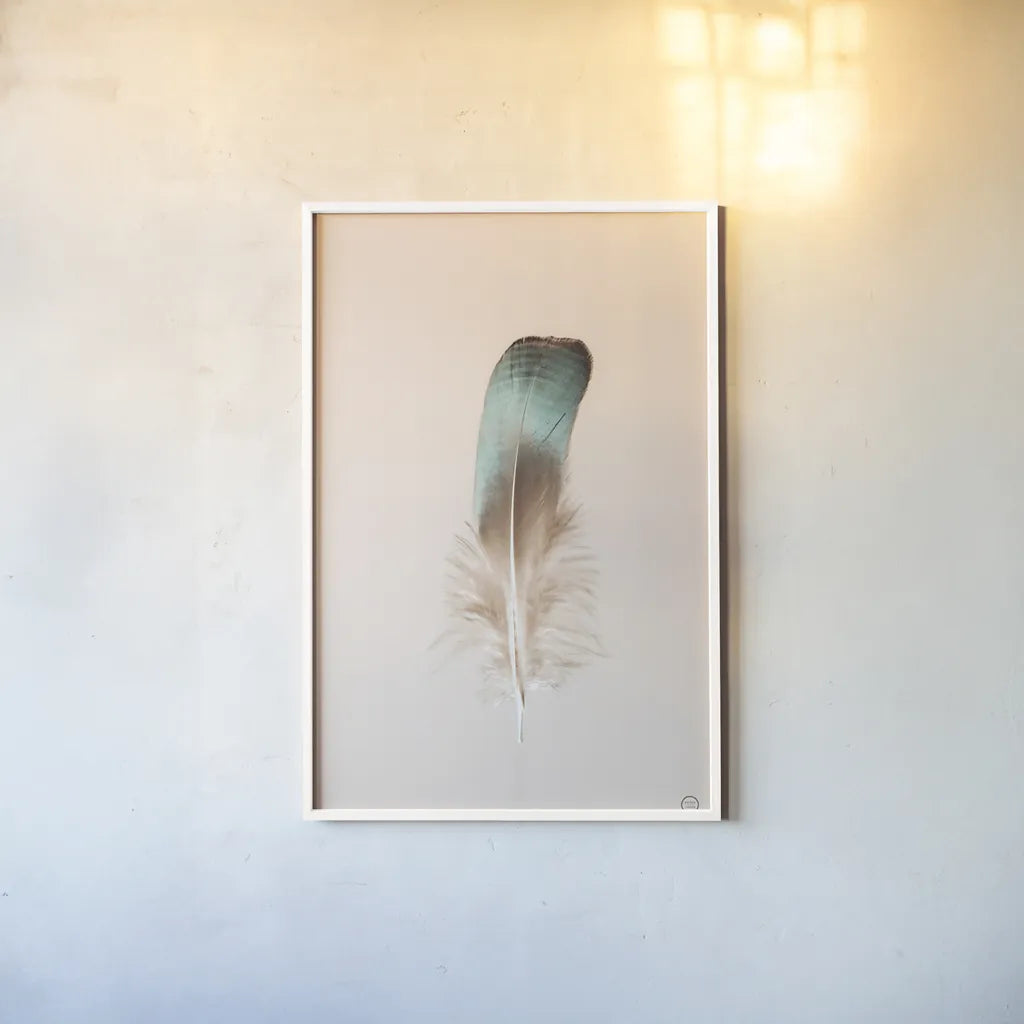 Floating Feathers IV by Nathan Larson. shown as a paper print in a white frame. Available as a archival giclee rolled canvas, fine art paper, or poster print. SKU 71171h.
