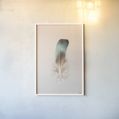 Floating Feathers IV by Nathan Larson. shown as a paper print in a white frame. Available as a archival giclee rolled canvas, fine art paper, or poster print. SKU 71171h.
