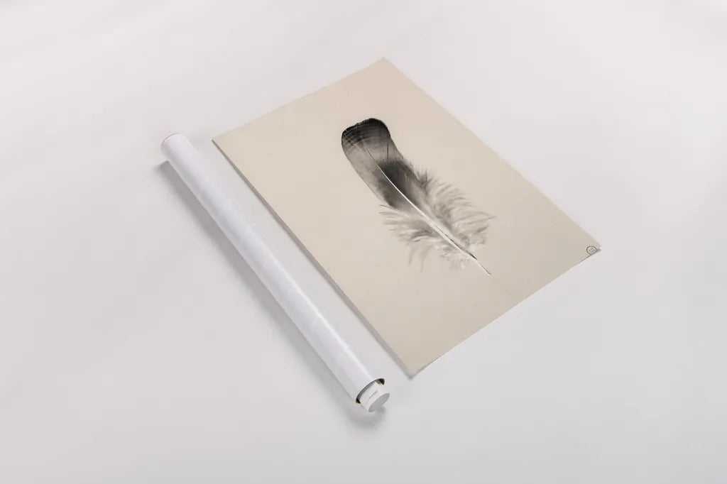Floating Feathers IV Sepia by Nathan Larson. shown as a rolled paper print. Available as archival giclee rolled canvas, fine art paper, or poster print. SKU 74149h.