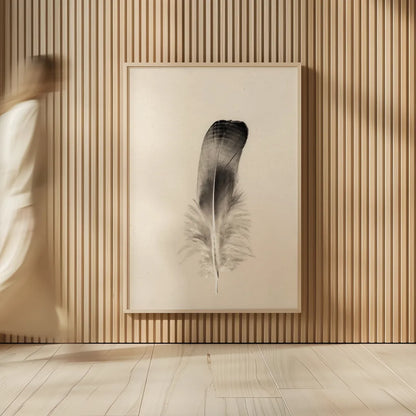 Floating Feathers IV Sepia by Nathan Larson. shown as over sized large wall art. Available as an archival giclee rolled canvas, fine art paper, or poster print. SKU 74149h.