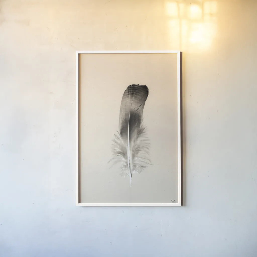 Floating Feathers IV Sepia by Nathan Larson. shown as a paper print in a white frame. Available as a archival giclee rolled canvas, fine art paper, or poster print. SKU 74149h.