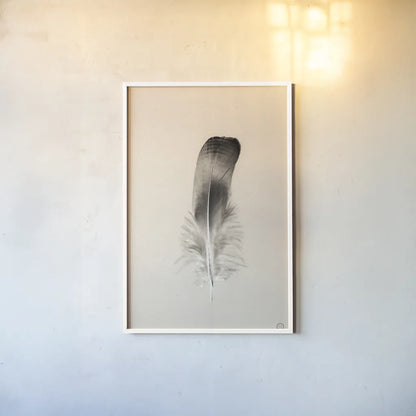 Floating Feathers IV Sepia by Nathan Larson. shown as a paper print in a white frame. Available as a archival giclee rolled canvas, fine art paper, or poster print. SKU 74149h.