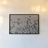 Flock II by Nathan Larson. shown as a paper print in a black flame. Available as a archival giclee rolled canvas, fine art paper, or poster print. SKU 97909i.