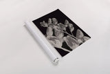 Flower Dreams BW I by Nathan Larson. shown as a rolled paper print. Available as archival giclee rolled canvas, fine art paper, or poster print. SKU 103191h.