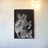 Flower Dreams BW I by Nathan Larson. shown as a paper print in a black flame. Available as a archival giclee rolled canvas, fine art paper, or poster print. SKU 103191h.