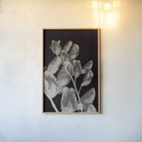 Flower Dreams BW I by Nathan Larson. shown as a paper print in a natural frame. Available as a archival giclee rolled canvas, fine art paper, or poster print. SKU 103191h.