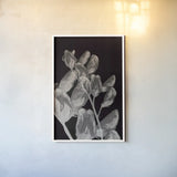 Flower Dreams BW I by Nathan Larson. shown as a paper print in a white frame. Available as a archival giclee rolled canvas, fine art paper, or poster print. SKU 103191h.