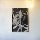 Flower Dreams BW II by Nathan Larson. shown as a paper print in a natural frame. Available as a archival giclee rolled canvas, fine art paper, or poster print. SKU 103192h.