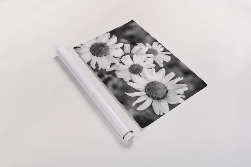 Flower Morning by Nathan Larson. shown as a rolled paper print. Available as archival giclee rolled canvas, fine art paper, or poster print. SKU 96235i.