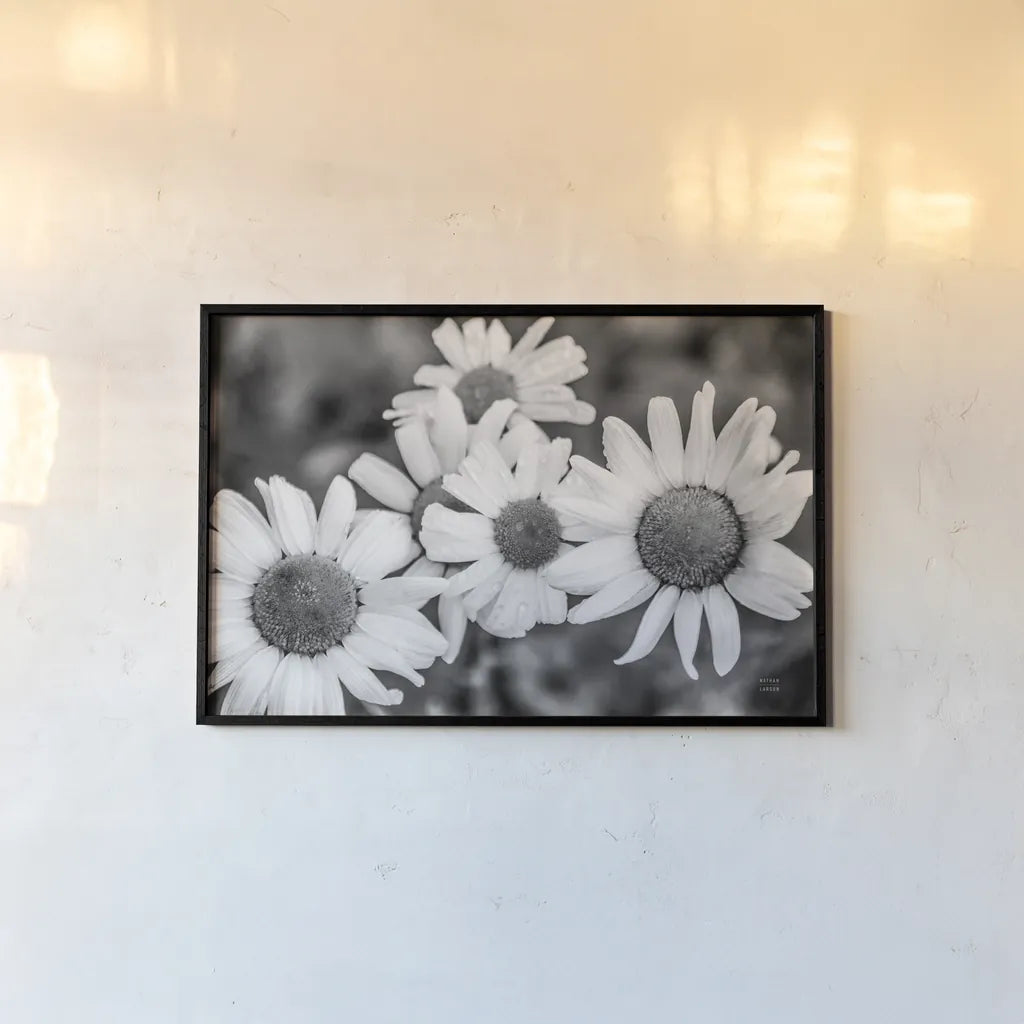 Flower Morning by Nathan Larson. shown as a paper print in a black flame. Available as a archival giclee rolled canvas, fine art paper, or poster print. SKU 96235i.