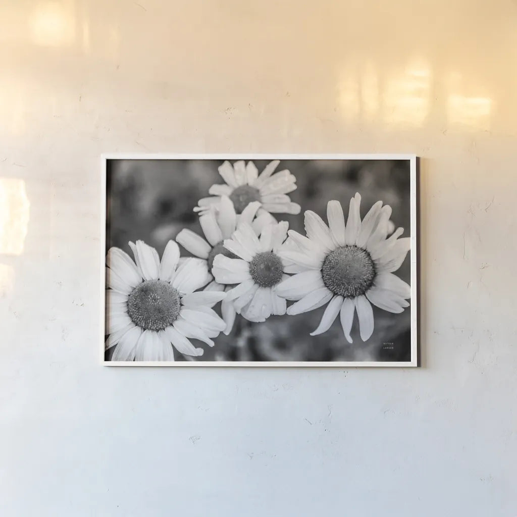 Flower Morning by Nathan Larson. shown as a paper print in a white frame. Available as a archival giclee rolled canvas, fine art paper, or poster print. SKU 96235i.
