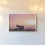 Following Along by Nathan Larson. shown as a paper print in a white frame. Available as a archival giclee rolled canvas, fine art paper, or poster print. SKU 104268i.