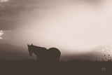 Following Along Sepia by Nathan Larson. SKU 104269i. Archival Giclee Fine art print for wall decor.