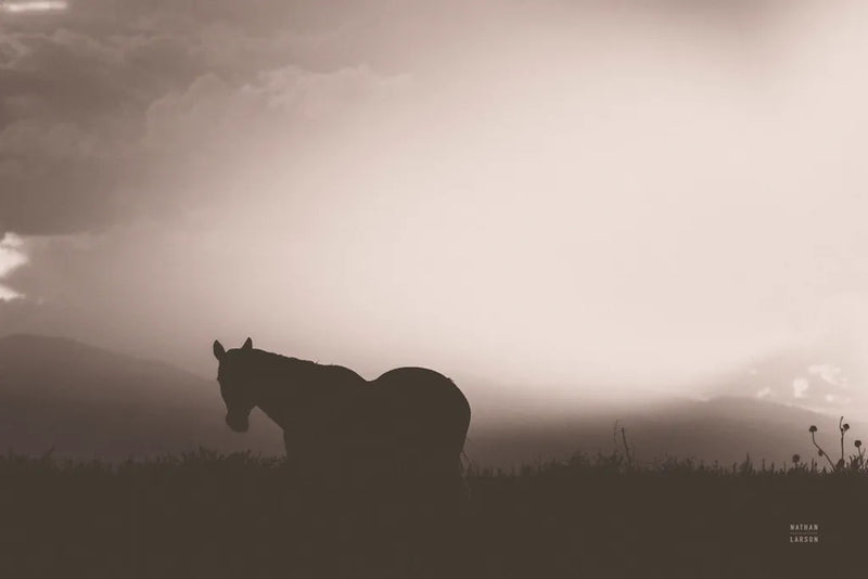 Following Along Sepia by Nathan Larson. SKU 104269i. Archival Giclee Fine art print for wall decor.