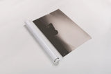 Following Along Sepia by Nathan Larson. shown as a rolled paper print. Available as archival giclee rolled canvas, fine art paper, or poster print. SKU 104269i.