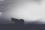 Following Along Twilight by Nathan Larson. SKU 104270i. Archival Giclee Fine art print for wall decor.