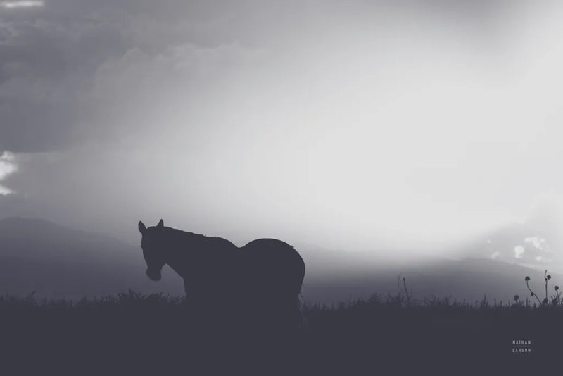 Following Along Twilight by Nathan Larson. SKU 104270i. Archival Giclee Fine art print for wall decor.
