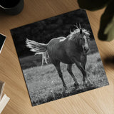 Frolick by Nathan Larson. Shown as a detailed flat fine art print, highlighting archival giclee quality. Available as an archival giclee rolled canvas, fine art paper, or poster print. SKU 83981a.