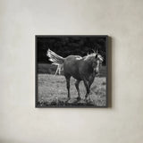 Frolick by Nathan Larson. Shown in a sleek black glass frame for a contemporary gallery look. Available as an archival giclee rolled canvas, fine art paper, or poster print. SKU 83981a.