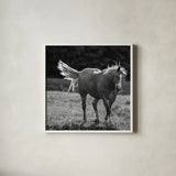 Frolick by Nathan Larson. Shown in a crisp white glass frame for a clean and minimalist style. Available as an archival giclee rolled canvas, fine art paper, or poster print. SKU 83981a.