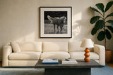 Frolick by Nathan Larson. Displayed in a glass frame with matte in a clean modern living room. Available as an archival giclee rolled canvas, fine art paper, or poster print. SKU 83981a.