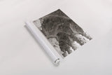Gaudi Vaults I by Nathan Larson. shown as a rolled paper print. Available as archival giclee rolled canvas, fine art paper, or poster print. SKU 87718h.