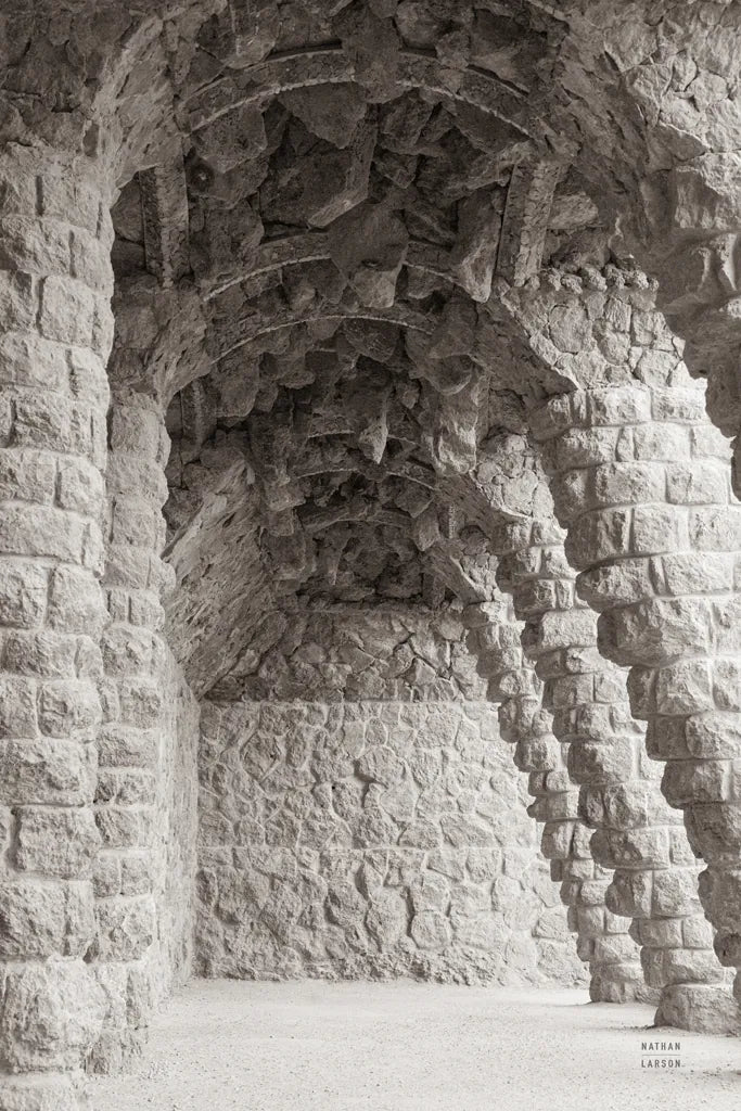 Gaudi Vaults II by Nathan Larson. SKU 87719h. Archival Giclee Fine art print for wall decor.