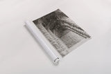 Gaudi Vaults II by Nathan Larson. shown as a rolled paper print. Available as archival giclee rolled canvas, fine art paper, or poster print. SKU 87719h.