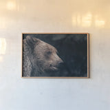 Gentle Grizzly by Nathan Larson. shown as a paper print in a natural frame. Available as a archival giclee rolled canvas, fine art paper, or poster print. SKU 100754i.