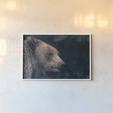 Gentle Grizzly by Nathan Larson. shown as a paper print in a white frame. Available as a archival giclee rolled canvas, fine art paper, or poster print. SKU 100754i.