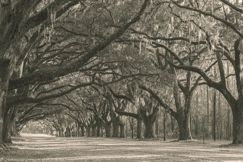 Georgia Afternoon by Nathan Larson. SKU 97436i. Archival Giclee Fine art print for wall decor.