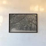 Georgia Afternoon by Nathan Larson. shown as a paper print in a black flame. Available as a archival giclee rolled canvas, fine art paper, or poster print. SKU 97436i.