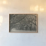 Georgia Afternoon by Nathan Larson. shown as a paper print in a natural frame. Available as a archival giclee rolled canvas, fine art paper, or poster print. SKU 97436i.