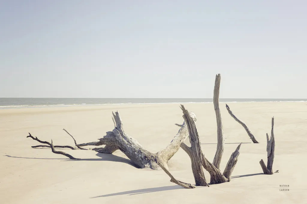 Georgia Driftwood I by Nathan Larson. SKU 85273i. Archival Giclee Fine art print for wall decor.